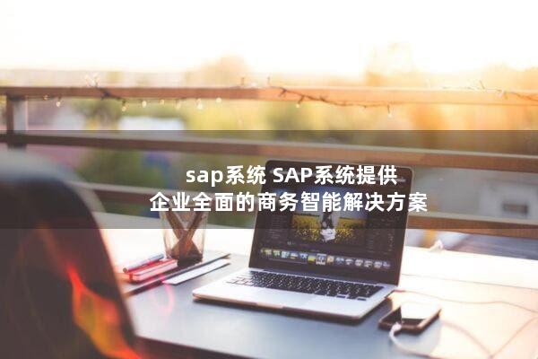 sap系统(SAP系统提供企业全面的商务智能解决方案)